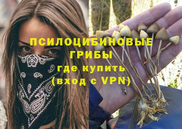 spice Алексин