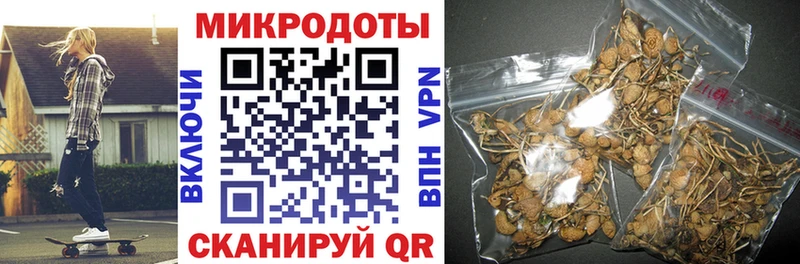 Псилоцибиновые грибы Psilocybe Златоуст